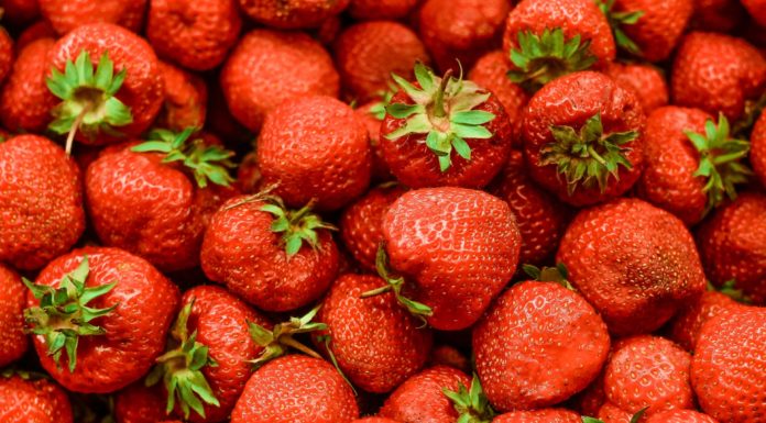 Veja 5 excelentes opções de fruta para emagrecer. fruta para emagrecer